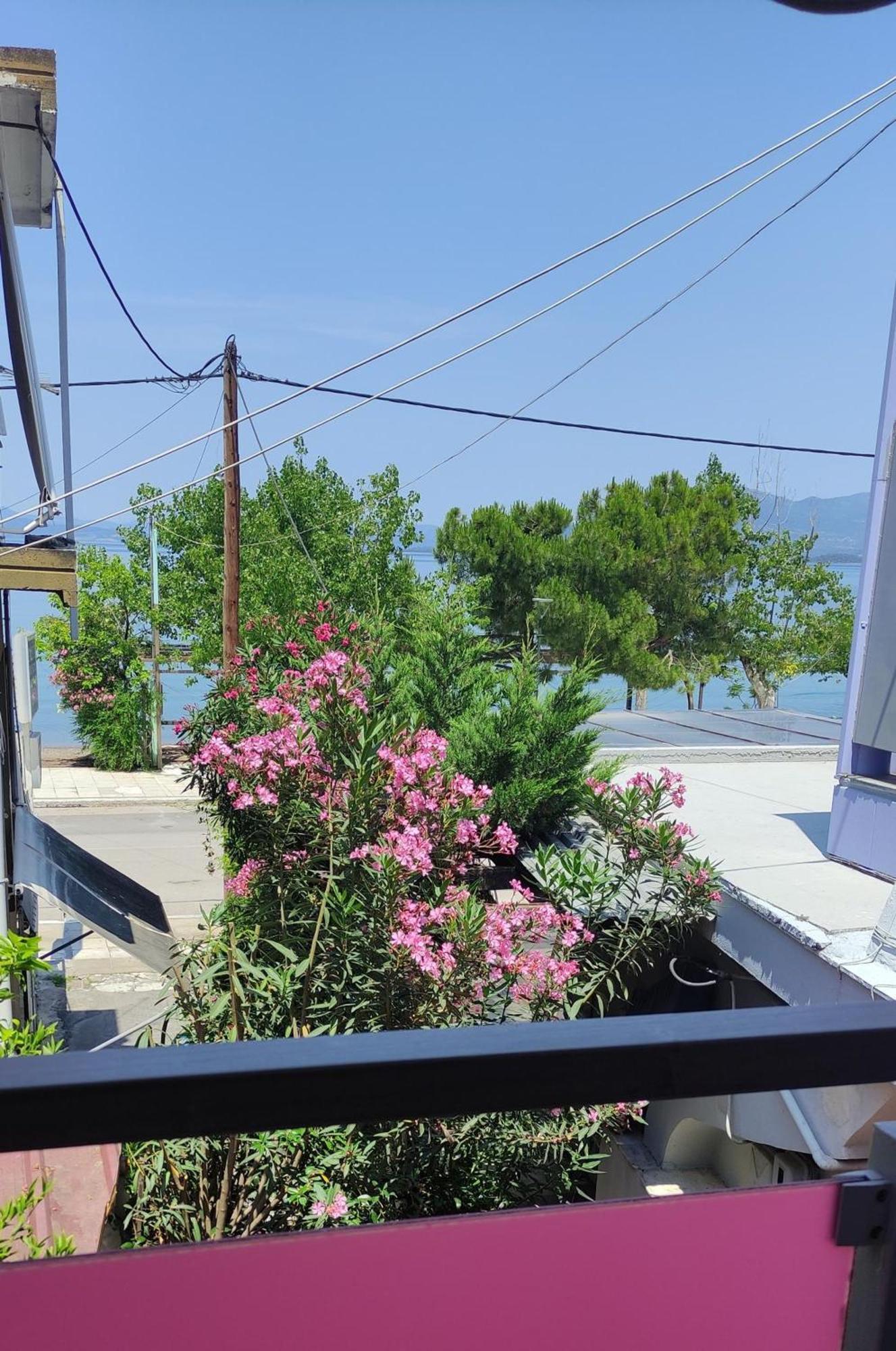 Okeania Seafront Rooms In Kaména Voúrla Eksteriør bilde
